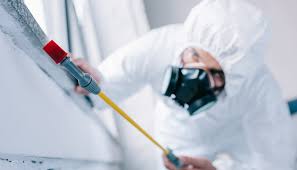 Best Fumigation Services  in North Canton, OH